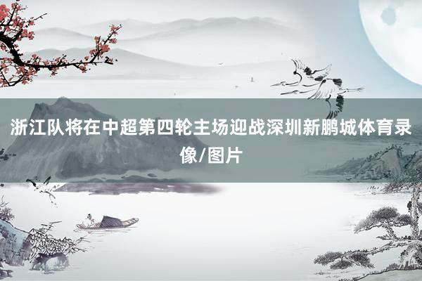 浙江队将在中超第四轮主场迎战深圳新鹏城体育录像/图片