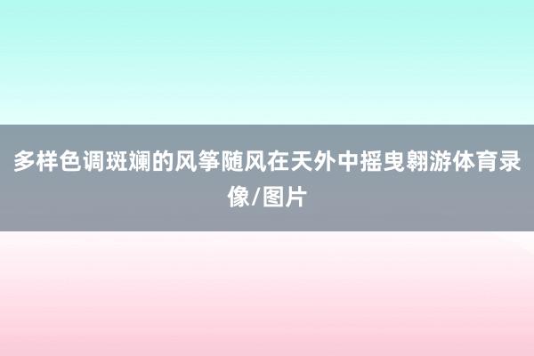 多样色调斑斓的风筝随风在天外中摇曳翱游体育录像/图片