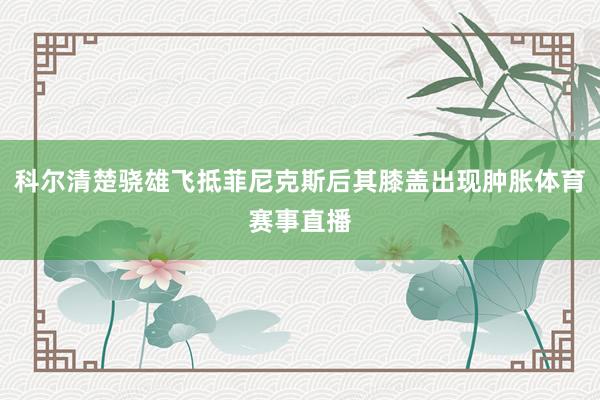 科尔清楚骁雄飞抵菲尼克斯后其膝盖出现肿胀体育赛事直播