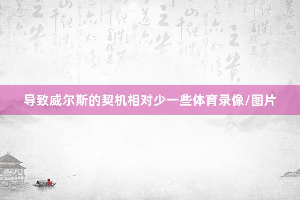导致威尔斯的契机相对少一些体育录像/图片