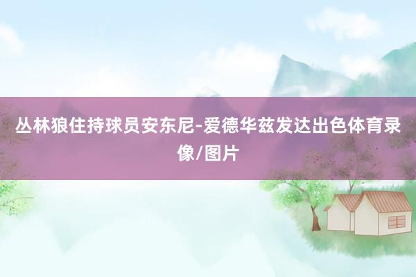 丛林狼住持球员安东尼-爱德华兹发达出色体育录像/图片