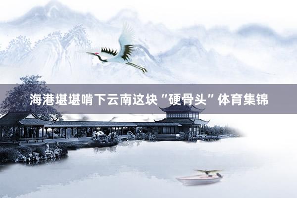 海港堪堪啃下云南这块“硬骨头”体育集锦
