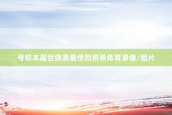 号称本届世锦赛最惨烈拼杀体育录像/图片