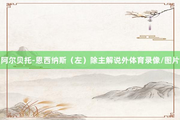 阿尔贝托-恩西纳斯（左）除主解说外体育录像/图片