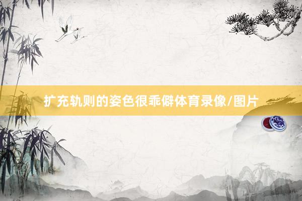 扩充轨则的姿色很乖僻体育录像/图片