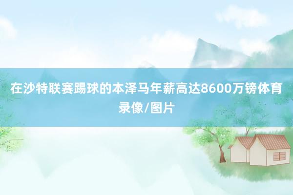 在沙特联赛踢球的本泽马年薪高达8600万镑体育录像/图片