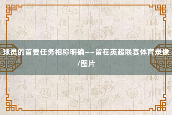 球员的首要任务相称明确——留在英超联赛体育录像/图片