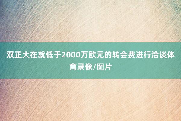 双正大在就低于2000万欧元的转会费进行洽谈体育录像/图片