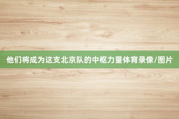 他们将成为这支北京队的中枢力量体育录像/图片