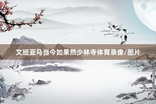 文班亚马当今如果然少林寺体育录像/图片