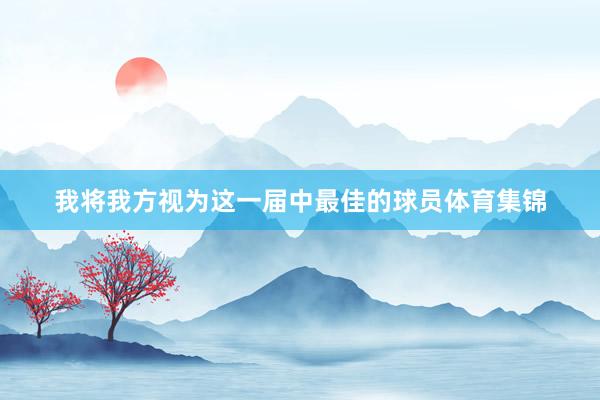 我将我方视为这一届中最佳的球员体育集锦