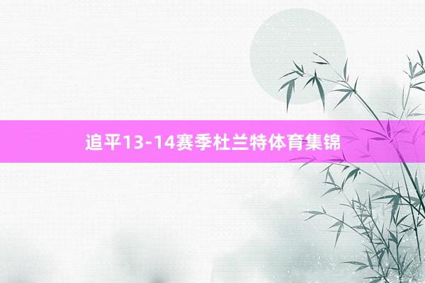 追平13-14赛季杜兰特体育集锦