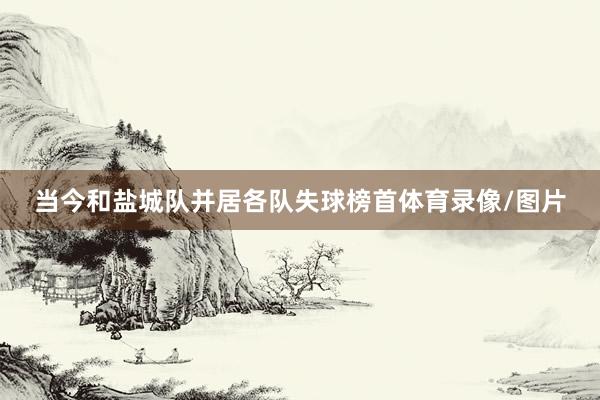 当今和盐城队并居各队失球榜首体育录像/图片