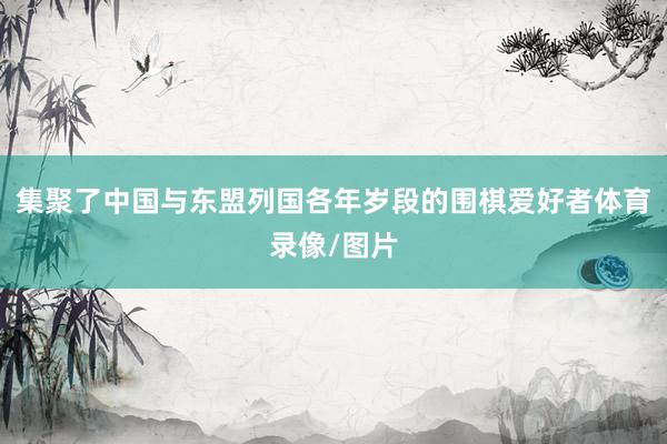 集聚了中国与东盟列国各年岁段的围棋爱好者体育录像/图片