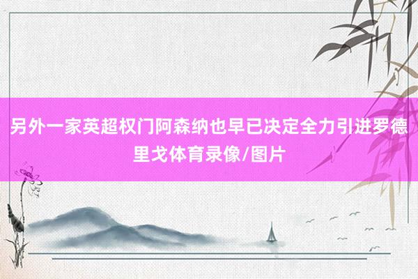 另外一家英超权门阿森纳也早已决定全力引进罗德里戈体育录像/图片
