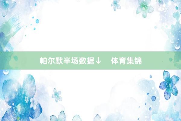 帕尔默半场数据↓    体育集锦
