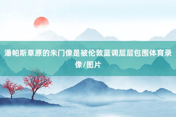 潘帕斯草原的朱门像是被伦敦蓝调层层包围体育录像/图片