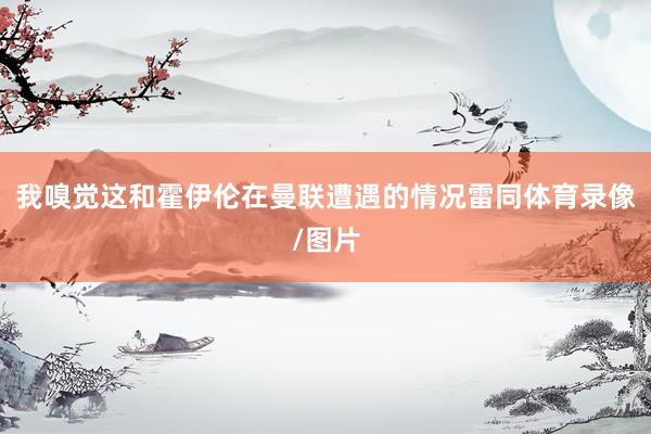我嗅觉这和霍伊伦在曼联遭遇的情况雷同体育录像/图片