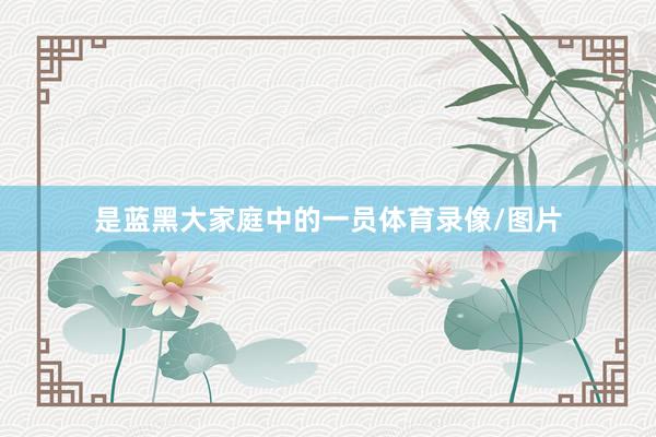 是蓝黑大家庭中的一员体育录像/图片
