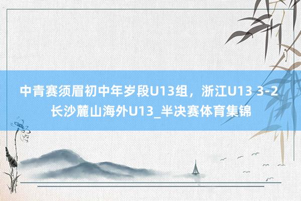 中青赛须眉初中年岁段U13组，浙江U13 3-2 长沙麓山海外U13_半决赛体育集锦