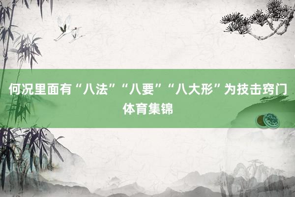 何况里面有“八法”“八要”“八大形”为技击窍门体育集锦