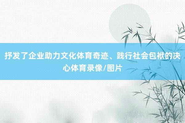 抒发了企业助力文化体育奇迹、践行社会包袱的决心体育录像/图片