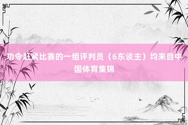功令赶紧比赛的一组评判员（6东谈主）均来自中国体育集锦