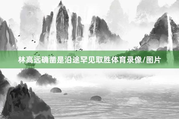 林高远确凿是沿途罕见取胜体育录像/图片