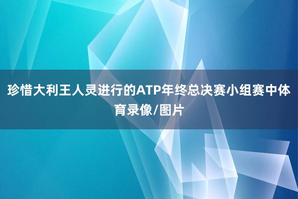 珍惜大利王人灵进行的ATP年终总决赛小组赛中体育录像/图片