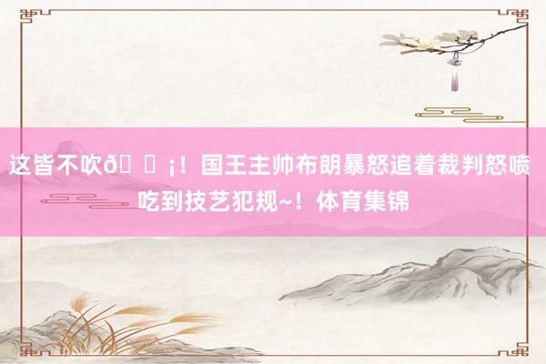 这皆不吹😡！国王主帅布朗暴怒追着裁判怒喷 吃到技艺犯规~！体育集锦