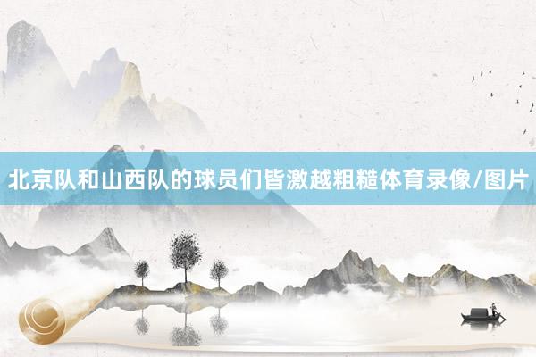 北京队和山西队的球员们皆激越粗糙体育录像/图片