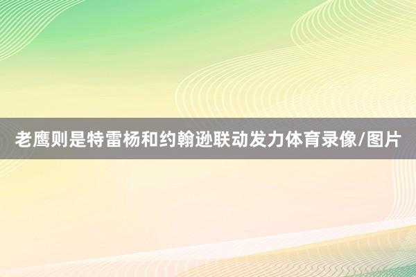 老鹰则是特雷杨和约翰逊联动发力体育录像/图片