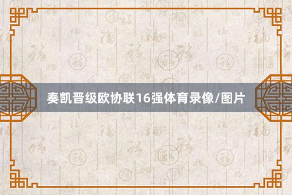 奏凯晋级欧协联16强体育录像/图片