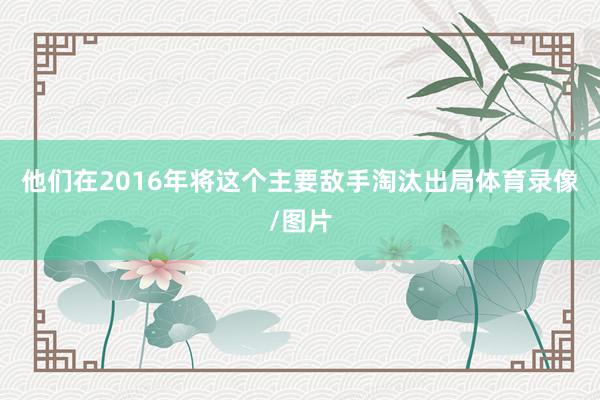 他们在2016年将这个主要敌手淘汰出局体育录像/图片