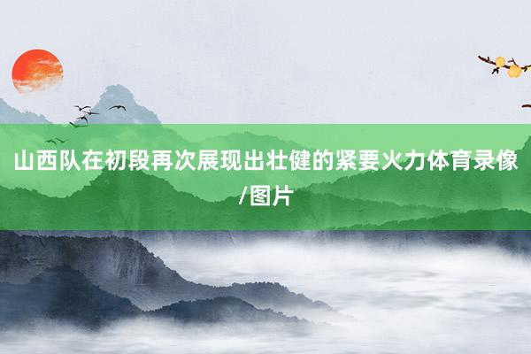 山西队在初段再次展现出壮健的紧要火力体育录像/图片