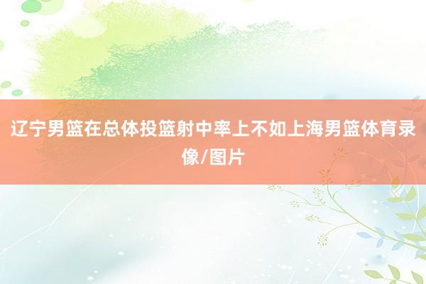 辽宁男篮在总体投篮射中率上不如上海男篮体育录像/图片