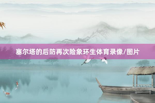 塞尔塔的后防再次险象环生体育录像/图片