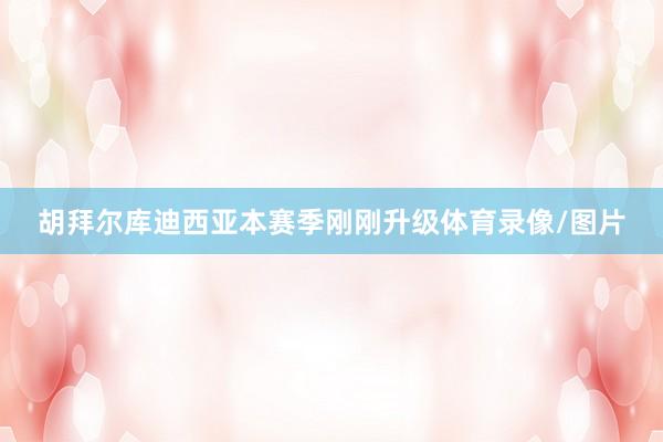 胡拜尔库迪西亚本赛季刚刚升级体育录像/图片