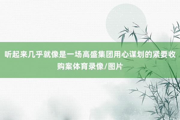听起来几乎就像是一场高盛集团用心谋划的紧要收购案体育录像/图片