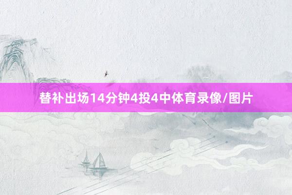 替补出场14分钟4投4中体育录像/图片