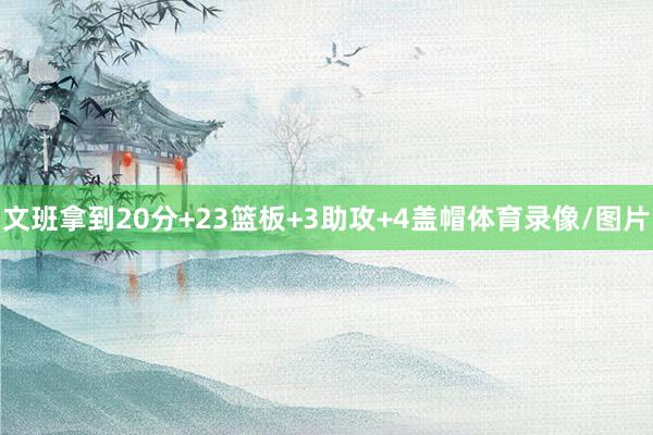 文班拿到20分+23篮板+3助攻+4盖帽体育录像/图片