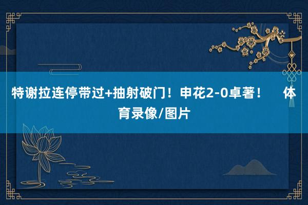 特谢拉连停带过+抽射破门！申花2-0卓著！    体育录像/图片