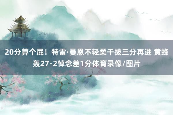 20分算个屁！特雷·曼恩不轻柔干拔三分再进 黄蜂轰27-2悼念差1分体育录像/图片