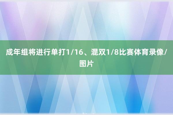 成年组将进行单打1/16、混双1/8比赛体育录像/图片