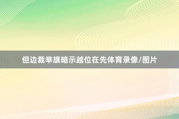 但边裁举旗暗示越位在先体育录像/图片